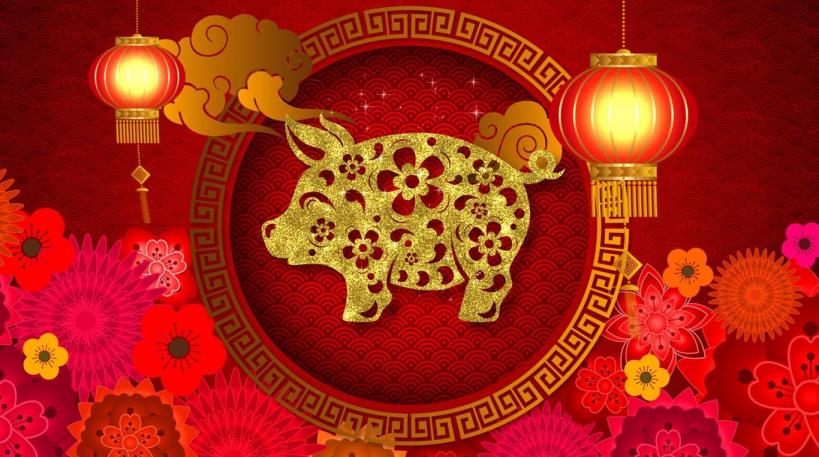 Chinese-pig-year
