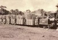 old-sugarcane-train